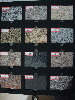 Chinese granite 2 from XIAMEN RAISE STONE CO.,LTD. , , CHINA